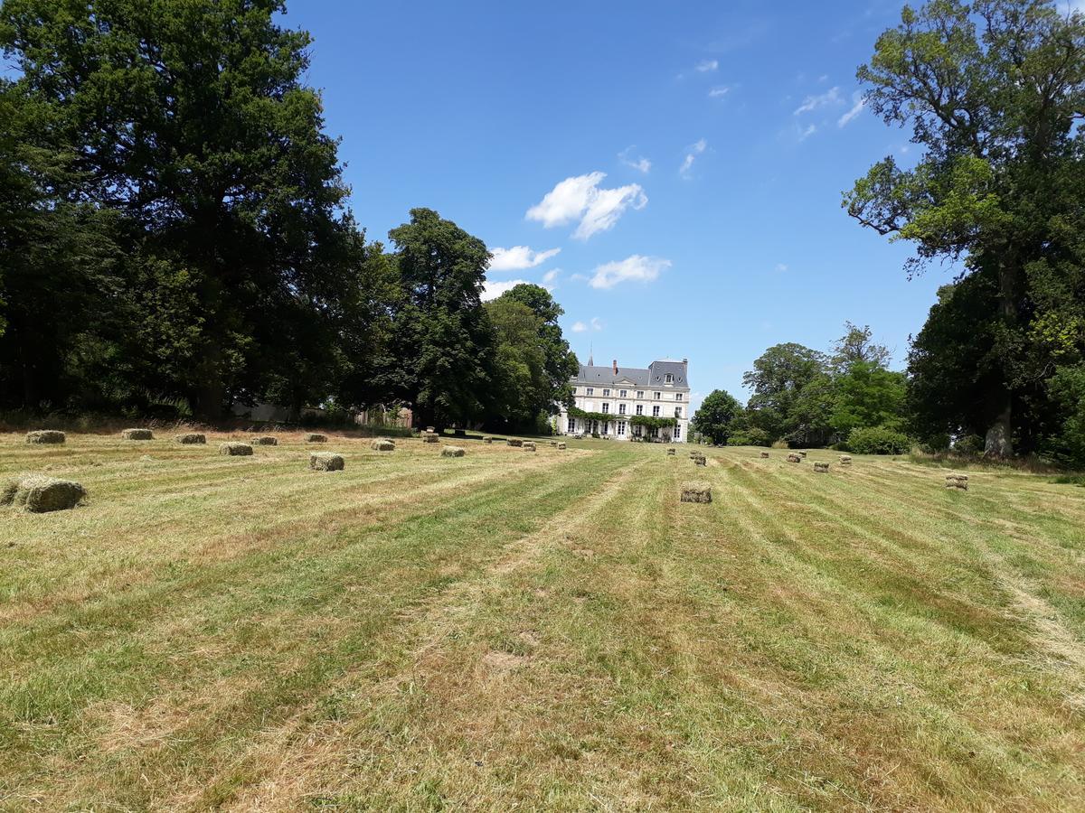 Chambres D'Hotes Chateau De La Puisaye Βερνέιγ-συρ-Αβρ Εξωτερικό φωτογραφία